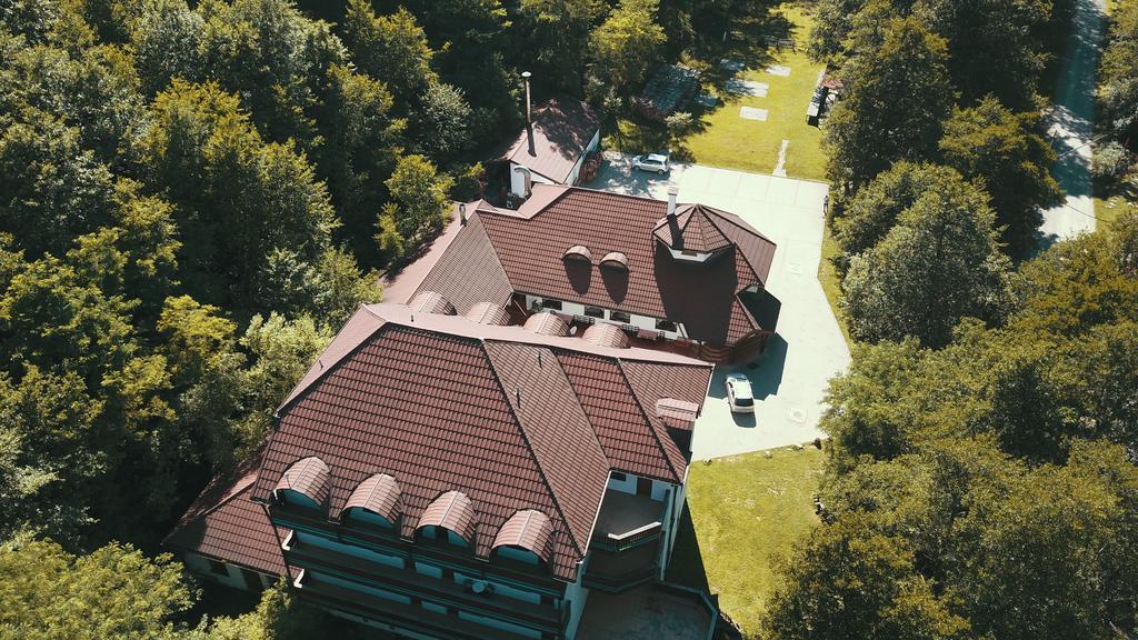 Guest house Pensiunea 3*